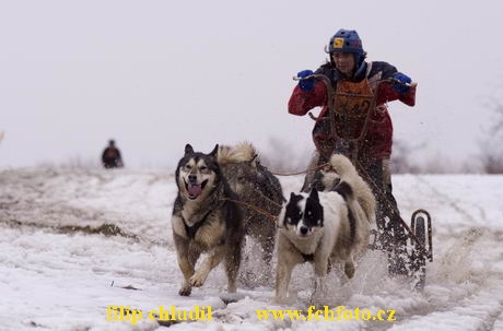 Hustopece 06 - 122.jpg